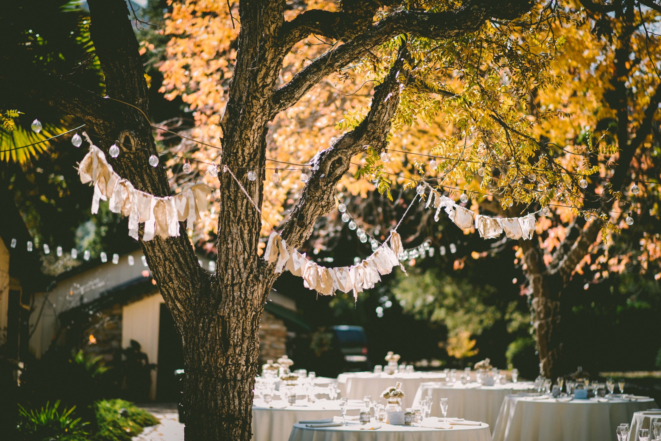 How To Create A Dream Backyard Wedding: Your Complete Guide to Intimate Outdoor Romance